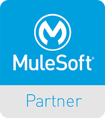 MuleSoft Partner Image